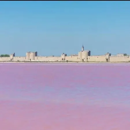 « le Boheme Chic »