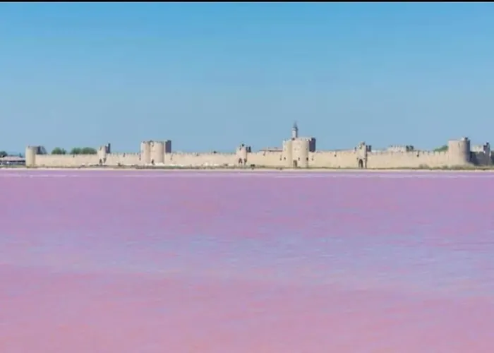 « le Boheme Chic »